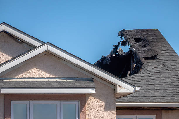 Top rated local Board Up Services specialists in Shafer, MN